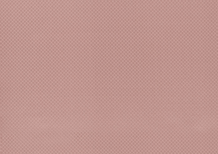 Charleston, Blush - Fabric Only - Image 3